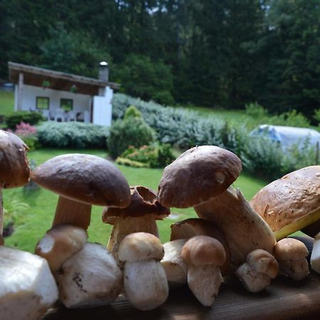 Apartmány U Vaců Zelezna Ruda Exterior foto